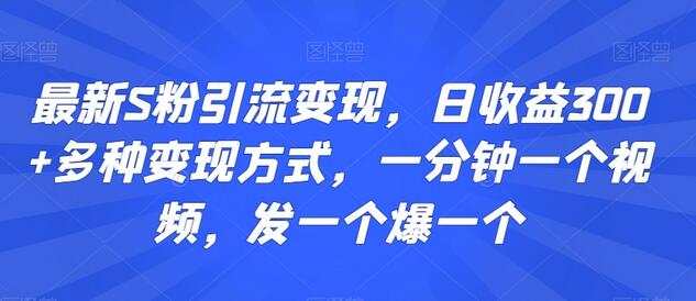 最新S粉引流变现，日收益300+多种变现方式，一分钟一个视频，发一个爆一个-稳赚族