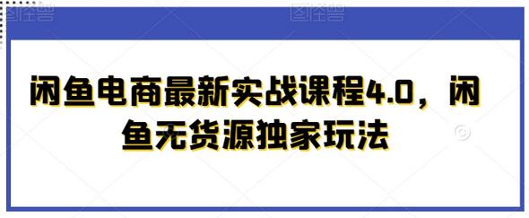 闲鱼电商最新实战课程4.0，闲鱼无货源独家玩法-稳赚族