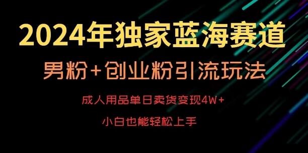 2024年独家蓝海赛道，成人用品单日卖货变现4W+，男粉+创业粉引流玩法，不愁搞不到流量-稳赚族