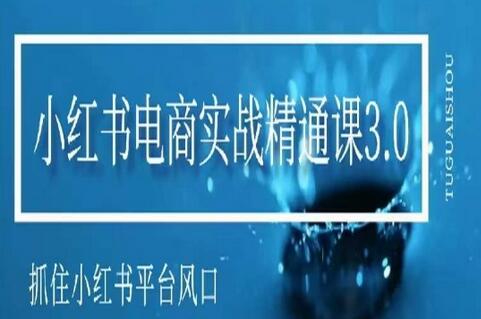 小红书电商实战精通课3.0，抓住小红书平台的风口，不错过有一个赚钱的机会-稳赚族