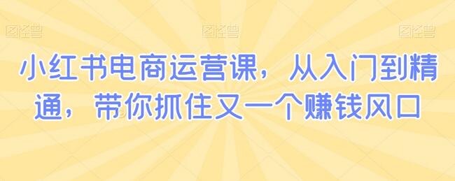 小红书电商运营课，从入门到精通，带你抓住又一个赚钱风口-稳赚族