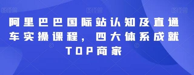 阿里巴巴国际站认知及直通车实操课程，四大体系成就TOP商家-稳赚族