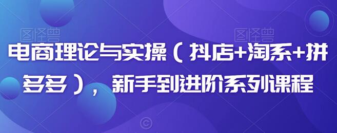 电商理论与实操（抖店+淘系+拼多多），新手到进阶系列课程-稳赚族