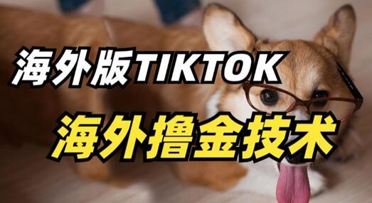 抖音海外版tiktok撸金技术，这个风口行业，赚钱真的不难-稳赚族