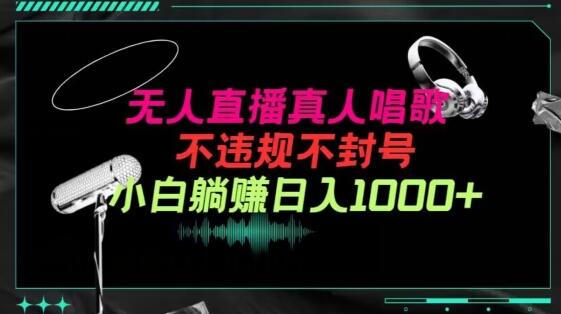 抖音24小时无人直播音乐，不违规，不封号纯撸音浪，小白实操当天日入1000+-稳赚族