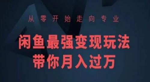 从零开始走向专业，闲鱼最强变现玩法带你月入过万-稳赚族