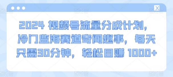 2024视频号流量分成计划，冷门监海赛道奇闻趣事，每天只需30分钟，轻松目赚 1000+-稳赚族