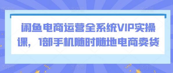 闲鱼电商运营全系统VIP实操课，1部手机随时随地电商卖货-稳赚族