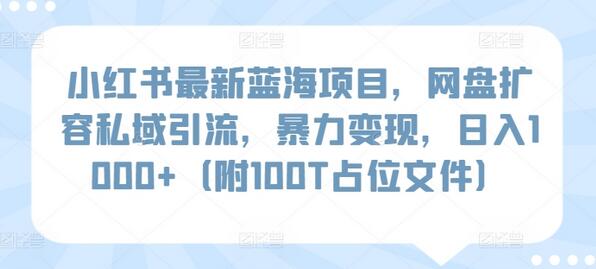 小红书最新蓝海项目，网盘扩容私域引流，暴力变现，日入1000+（附100T占位文件）-稳赚族