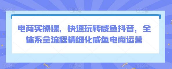 电商实操课，快速玩转咸鱼抖音，全体系全流程精细化咸鱼电商运营-稳赚族