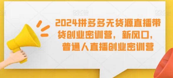 2024拼多多无货源直播带货创业密训营，新风口，普通人直播创业密训营-稳赚族