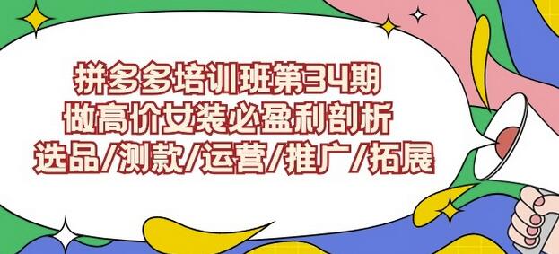 拼多多培训班第34期：做高价女装必盈利剖析选品/测款/运营/推广/拓展-稳赚族