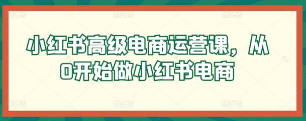 小红书高级电商运营课，从0开始做小红书电商-稳赚族