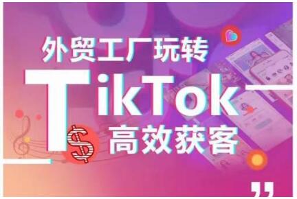 外贸工厂玩转TikTok高效获客，多种引流方式与账号定位技巧，拆解爆款短视频打造成功案例-稳赚族