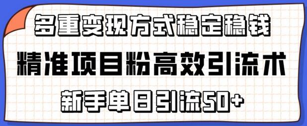 精准项目粉高效引流术，新手单日引流50+，多重变现方式稳定赚钱-稳赚族