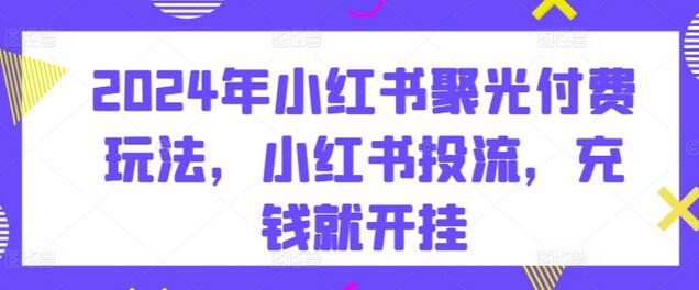 2024年小红书聚光付费玩法，小红书投流，充钱就开挂-稳赚族