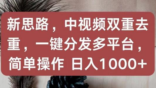 新思路，中视频双重去重，一键分发多平台，简单操作，日入1000+-稳赚族