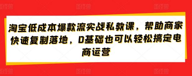 淘宝低成本爆款流实战私教课，帮助商家快速复制落地，0基础也可以轻松搞定电商运营-稳赚族