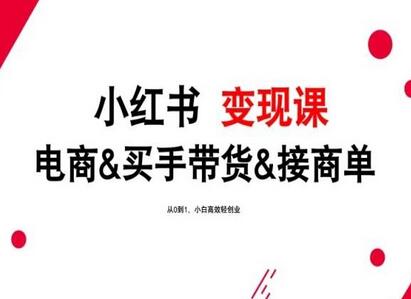 2024年最新小红书变现课，电商&买手带货&接商单，从0到1，小白高效轻创业-稳赚族