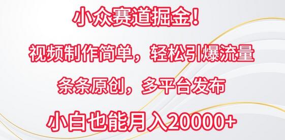 小众赛道掘金，视频制作简单，轻松引爆流量，条条原创，多平台发布-稳赚族