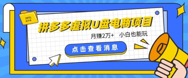 拼多多虚拟U盘电商红利项目：月赚2万+，新手小白也能玩-稳赚族