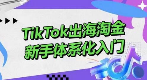 TikTok出海淘金，新手体系化入门，零基础快速入门，掌握短视频、直播带货等引流到变现的知识-稳赚族