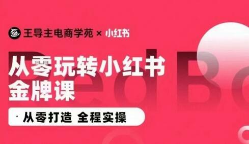 王导主·小红书电商运营实操课，​从零打造  全程实操-稳赚族