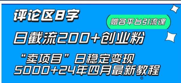 抖音评论区8字日截流200+创业粉 “卖项目”日稳定变现5000+-稳赚族