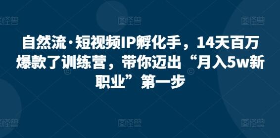 自然流·短视频IP孵化手，14天百万爆款了训练营，带你迈出“月入5w新职业”第一步-稳赚族