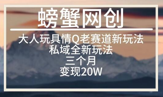 大人玩具情Q用品赛道私域全新玩法，三个月变现20W，老项目新思路-稳赚族