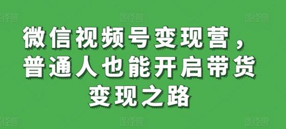 微信视频号变现营，普通人也能开启带货变现之路-稳赚族