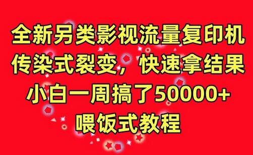 全新另类影视流量复印机，传染式裂变，快速拿结果，小白一周搞了50000+，喂饭式教程-稳赚族