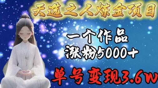 天选之人炼金项目，一个作品涨粉5000+，单号变现3.6w-稳赚族