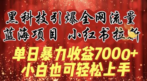 蓝海项目!黑科技引爆全网流量小红书拉新，单日暴力收益7000+，小白也能轻松上手-稳赚族