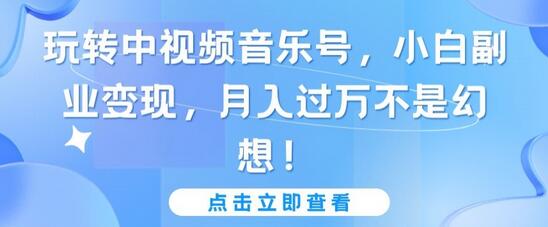 玩转中视频音乐号，小白副业变现，月入过万不是幻想-稳赚族