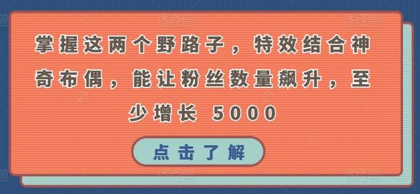 掌握这两个野路子，特效结合神奇布偶，能让粉丝数量飙升，至少增长 5000-稳赚族