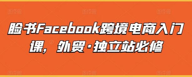 脸书Facebook跨境电商入门课，外贸·独立站必修-稳赚族