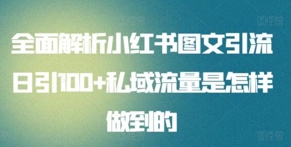 全面解析小红书图文引流日引100+私域流量是怎样做到的-稳赚族