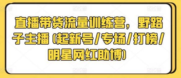 直播带货流量训练营，野路子主播(起新号/专场/打榜/明星网红助博)-稳赚族