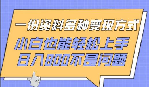 一份资料多种变现方式，小白也能轻松上手，日入800不是问题-稳赚族