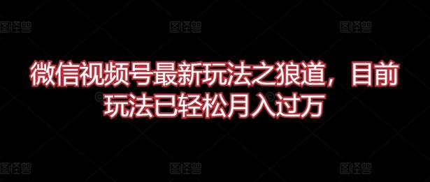 微信视频号最新玩法之狼道，目前玩法已轻松月入过万-稳赚族