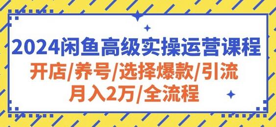 2024闲鱼高级实操运营课程：开店/养号/选择爆款/引流/月入2万/全流程-稳赚族