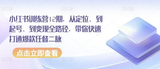 小红书训练营12期，从定位、到起号、到变现全路径，带你快速打通爆款任督二脉-稳赚族