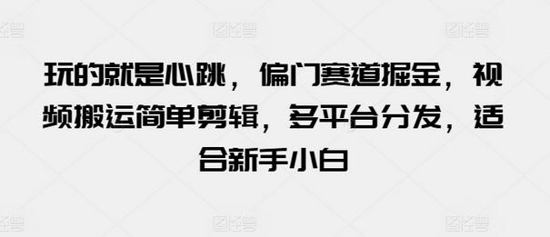 玩的就是心跳，偏门赛道掘金，视频搬运简单剪辑，多平台分发，适合新手小白-稳赚族