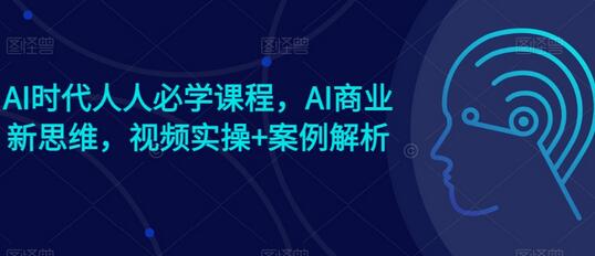 AI时代人人必学课程，AI商业新思维，视频实操+案例解析【赠AI商业爆款案例】-稳赚族