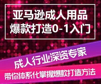 亚马逊成人用品爆款打造0-1入门，系统化讲解亚马逊成人用品爆款打造的流程-稳赚族