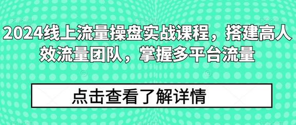 2024线上流量操盘实战课程，搭建高人效流量团队，掌握多平台流量-稳赚族