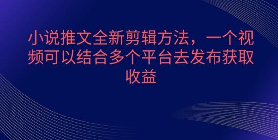 小说推文全新剪辑方法，一个视频可以结合多个平台去发布获取-稳赚族