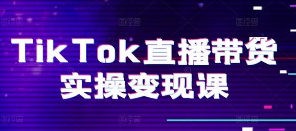 TikTok直播带货实操变现课：系统起号、科学复盘、变现链路、直播配置、小店操作流程、团队搭建等-稳赚族