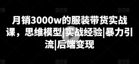 月销3000w的服装带货实战课，思维模型|实战经验|暴力引流|后端变现-稳赚族